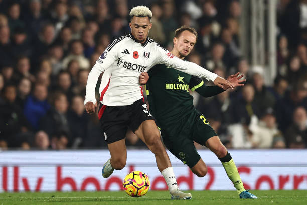 在展示他们 在展示他们